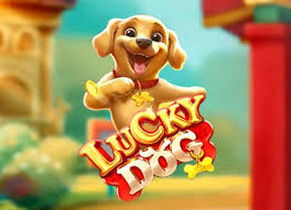Lucky Dog