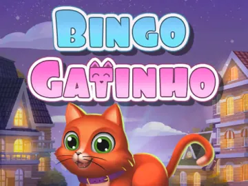 Bingo Gatinho