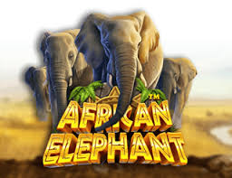 African Elephant