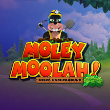 Moley Moolah