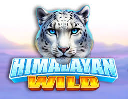 Himalayan Wild
