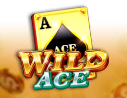 Wild Ace