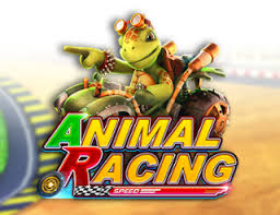 Animal Racing